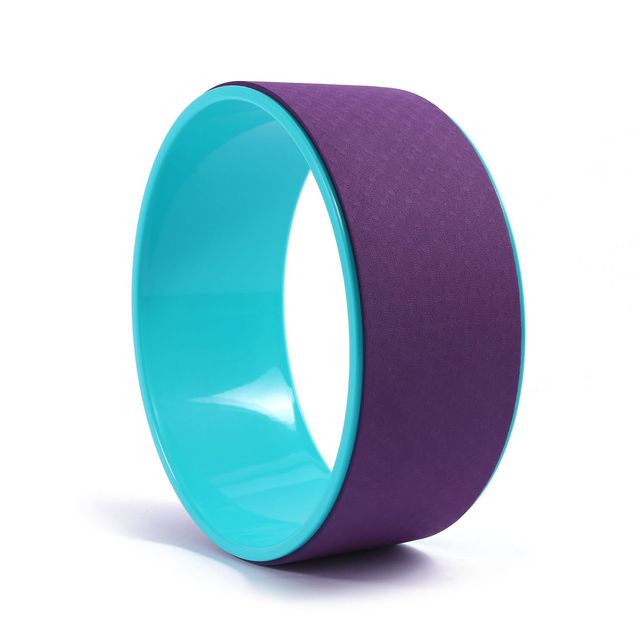 19cm Big Dot Yoga Wheel